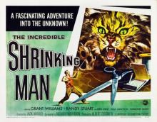 The Incredible Shrinking Man