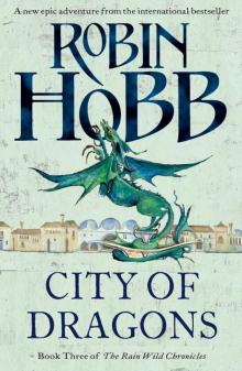 City of Dragons City of Dragons