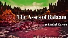 The Asses of Balaam The Asses of Balaam