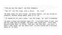A Tigers Skin