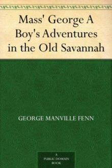 Mass George: A Boys Adventures in the Old Savannah