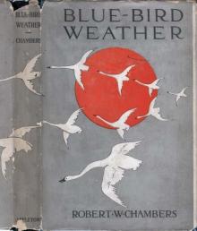 Blue-Bird Weather