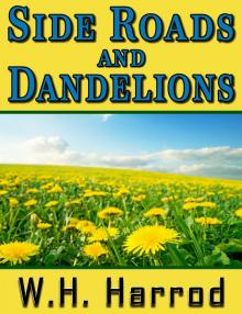 Side Roads and Dandelions Side Roads and Dandelions