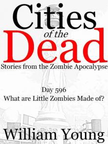 What are Little Zombies Made of? (Cities of the Dead)