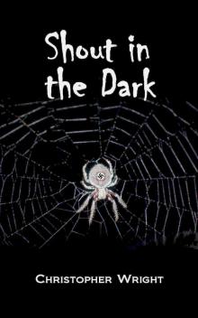 Shout in the Dark Shout in the Dark