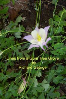 Lines from a Gum Tree Grove