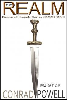 The Realm: Box Set - Parts 1 to 5 (Realm of Angels Series, Book One)