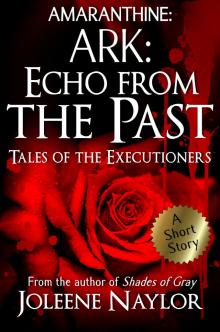 Ark: Echo from the Past (Tales of the Executioners)