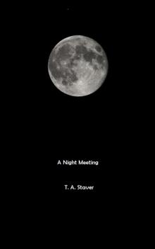 A Night Meeting