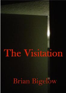 The Visitation The Visitation