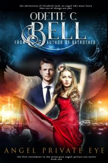 Angel: Private Eye Book One