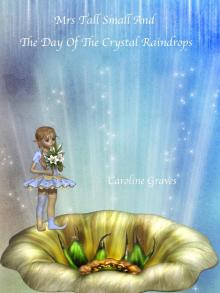 Mrs Tall Small and the Day of the Crystal Raindrops