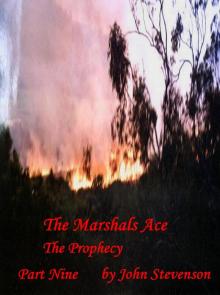 The Marshals Ace