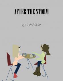 After The Storm