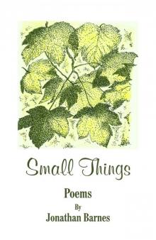 Small Things