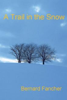 A Trail in the Snow A Trail in the Snow