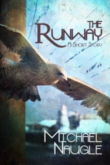 The Runway The Runway