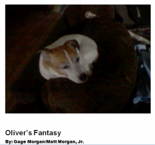 Oliver's fantasy Oliver's fantasy