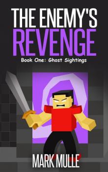 The Enemy's Revenge, Book One: Ghost Sightings The Enemy's Revenge, Book One: Ghost Sightings