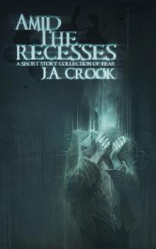 Amid the Recesses: A Short Story Collection of Fear Amid the Recesses: A Short Story Collection of Fear
