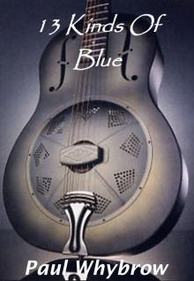 13 Kinds Of Blue 13 Kinds Of Blue