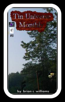 Tin Universe Monthly  #10