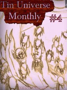 Tin Universe Monthly #4