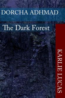 Dorcha Adhmad The Dark Forest Dorcha Adhmad The Dark Forest