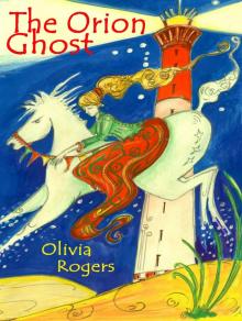 The Orion Ghost