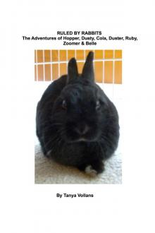 Ruled By Rabbits