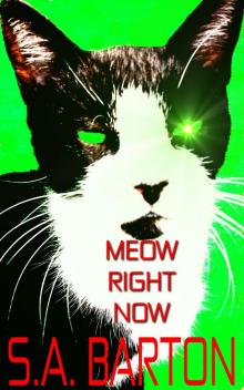 Meow Right Now Meow Right Now