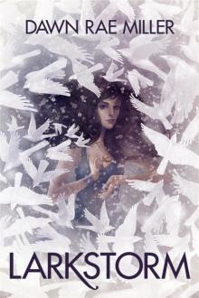 Larkstorm (The Sensitives #1)