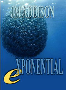 Exponential Exponential