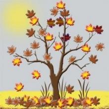 Adaptive Among the Hidden