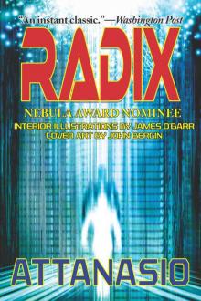 RADIX - A Radix Tetrad Novel RADIX - A Radix Tetrad Novel