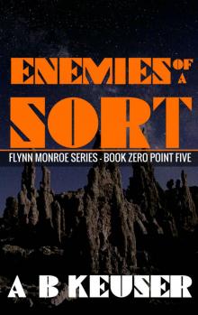 Flynn Monroe 00: Enemies of a Sort
