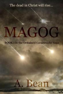 MAGOG: An End Times Thriller (Ordained Catastrophe Book 1)