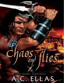 Chaos and Flies
