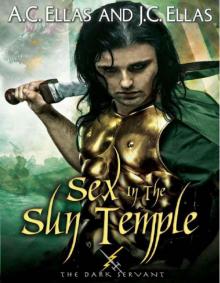 Sex in the Sun Temple Sex in the Sun Temple