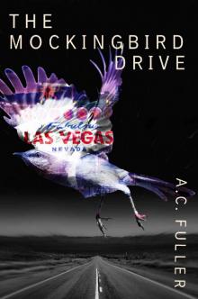 The Mockingbird Drive