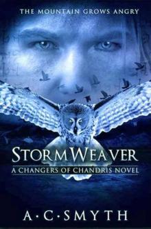 Stormweaver: A Changers of Chandris Novel
