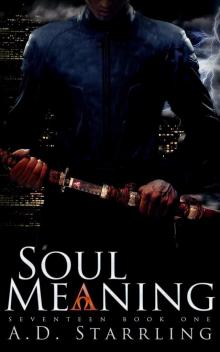 Soul Meaning