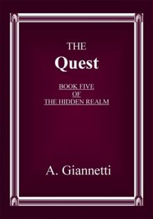 The Quest (The Hidden Realm Book 5)