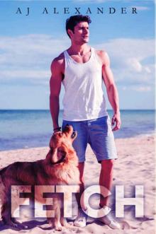 Fetch Fetch