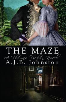 The Maze The Maze