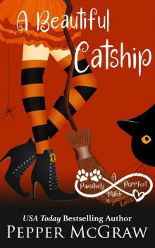 A Beautiful Catship