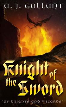 Knight of the Sword
