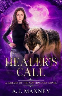 Healer's Call (The Healer's Series Book 2)