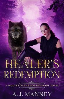 Healer's Redemption (The Healer's Series Book 4)