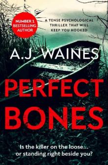 Perfect Bones: A Tense Psychological Thriller That Will Keep You Hooked Perfect Bones: A Tense Psychological Thriller That Will Keep You Hooked